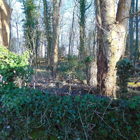 Dreamwood Cottage, Loch Lomond, Luxury Apartment. 글라스고 외부 사진