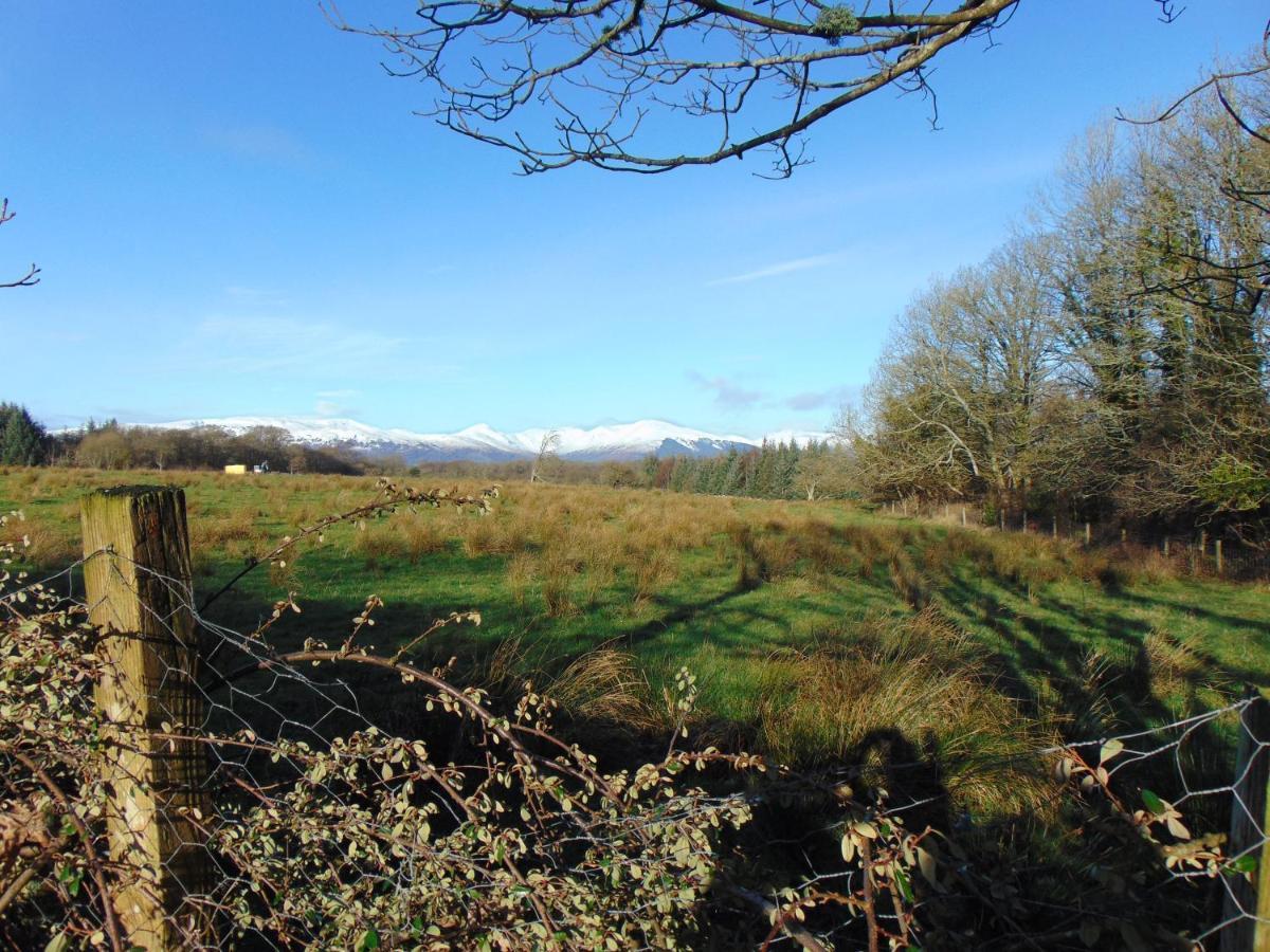 Dreamwood Cottage, Loch Lomond, Luxury Apartment. 글라스고 외부 사진