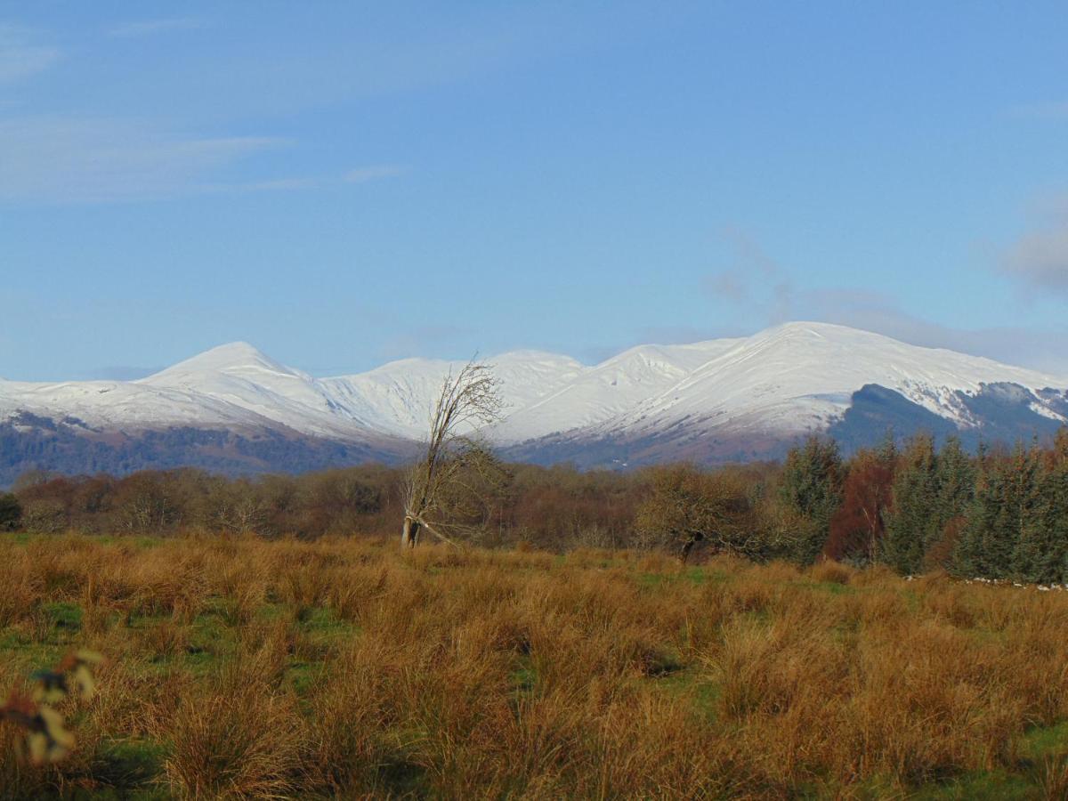 Dreamwood Cottage, Loch Lomond, Luxury Apartment. 글라스고 외부 사진